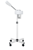 The Luxe Steamer Portable Hair/Facial Steamer